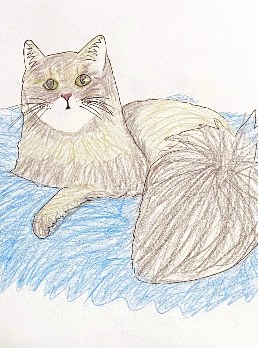 A colored pencil portrait of the same cat lying on a blue fuzzy cushion