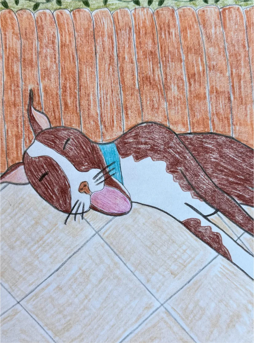 A colored pencil illustration of the same dog sleeping against a wooden fence
