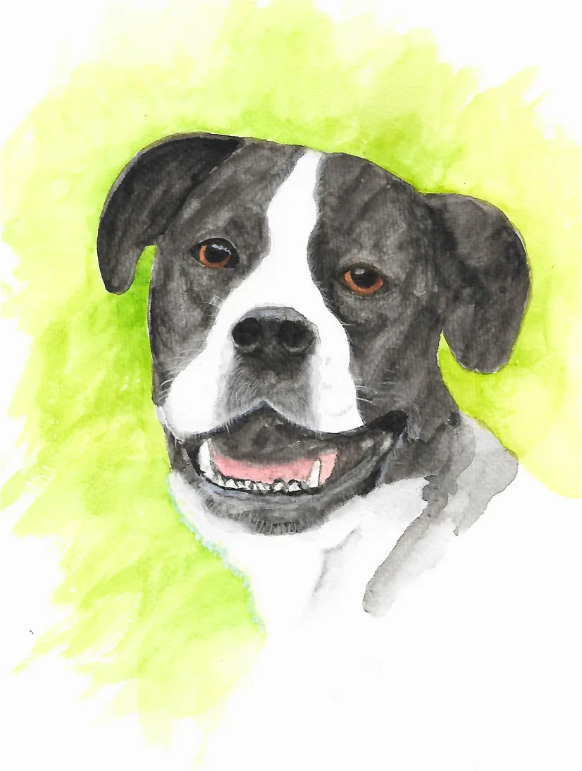 A watercolor portrait of the same dog's face against a green wash background