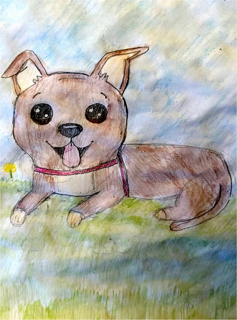 A colored pencil illustration of the same dog lying happily in the grass beside a yellow flower